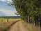 Dirtroad along forest and meadow in the  wallonian countryside.