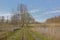 Dirtroad along a marsh in the Flemish countryside