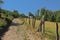 Dirtroad along meadows with trees in the wallonian countryside