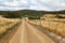 Dirtroad through farmlands