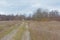 Dirtroad through the fields of Pakri peninsula, PAldiski, Estonia