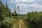 Dirtroad in the forest in the  wallonian countryside.