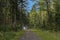 Dirtroad in the forest in the  wallonian countryside.