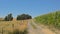 Dirtroad between meadows and corn  fields in the wallonian countryside