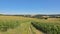 Dirtroad between meadows and corn  fields in the wallonian countryside