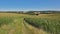 Dirtroad between meadows and corn  fields in the wallonian countryside