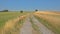 Dirtroad between meadows and fields in the wallonian countryside