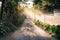 Dirtroad to a coffee plantation finca with sunbeam, Antigua, Guatemala