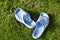 Dirty blue Slippers are on the green grass