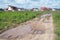 Dirty bumpy road leading to the new cottage area