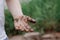 Dirty children`s hand on a green background. . The dirt remained on the child`s hand. Not a clean left hand.