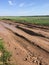 Dirty clay road with traces of cars and tractors, a deep rut with puddles. agricultural road in the field for planting and harvest