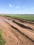 Dirty clay road with traces of cars and tractors, a deep rut with puddles. agricultural road in the field for planting and harvest