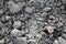 Dirty clods of ground with gray sand, closeup. The texture of natural material.