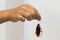 Dirty cockroaches have dead germs in their hands