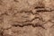 Dirty dry dark brown soil sand earth land ground. Natural environmental textured abstract background terrain.