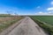 Dirty farm road with blue sky and green fields