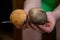 Dirty female hands brush with an edible forest brown mushroom