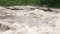 Dirty flood water flowing rapidly in river, closeup detail broken drift trees background