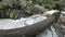 Dirty foam and bubbles on wild stream water. Broken tree blocked in rapid stream. Sharp basalt stones sticking in the water