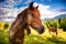 Dirty horses grazing in the pasture that is illuminated by the sun. Location place Carpathian, Ukraine, Europe. Beauty world