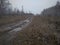 Dirty impassable road travel with a track in autumn in the Siberian taiga