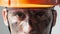 Dirty Mine Worker. Beautiful Caucasian Man in a Hard Hat. Filthy Job and Physical labor. Coal mining. People Working Equipment