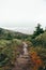 Dirty narrow path through forested mountains on a foggy day