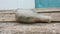 Dirty Old Bottle Lying Sideways on a Weathered Wooden Table