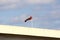 Dirty old wind direction and speed red and white indicator flag mounted on strong metal pole on top of concrete bridge