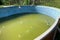 dirty overgrown dangerous outdoor pool. pool cleaning service. dirty green water with bacteria