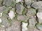 Dirty paving blocks texture. Moss brick paving walkway for backgrounds and illustrations