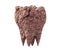 dirty plaque broken molar tooth