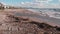 Dirty polluted sea coastline with debris after big torrential rain and floods. Beach after heavy storm