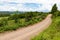 Dirty road around farm plantation and forest