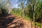 Dirty road with dry leaves in winter, Vale dos Vinhedos valley