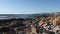 Dirty rocky beach filled with plastic bottles and paper trash. Pile of trash on the beach,