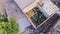 Dirty room with plants in building with broken roof in city