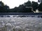 Dirty soapy water with bubbles near the waterfall. Pollen and dirt mixed with water in the river or lake, environmental