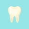 Dirty spoted tooth, cute colorful vector icon illustration