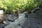 Dirty stream of a mountain river after rain and mudflow with soil erosion. Landslides and natural disasters concept