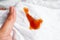 Dirty tomato sauce stain or ketchup on cloth to wash with washing powder, cleaning housework concept