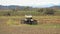 Dirty tractor working in a spanish paddy field