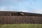 Dirty truck on a landfill recultivation area