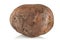 Dirty, unwashed potato