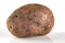 Dirty, unwashed potato