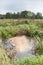 Dirty water in a river in a countryside landscape in Holland