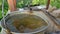 Dirty water from the well. Ecology of the planet. Woman drops chain with bucket into rustic well to draw water.