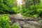 Dirty Wild Forest creek running after the rain