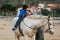 Disabled boy embracing his physiotherapist during equine therapy session